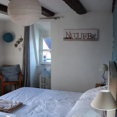 Sous Les Toits Du Zinc - Climatise Apartment