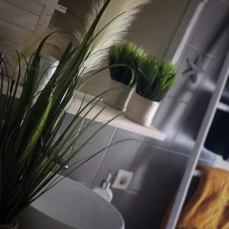 Sous Les Toits Du Zinc - Climatise