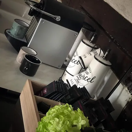 アパート Sous Les Toits Du Zinc - Climatise