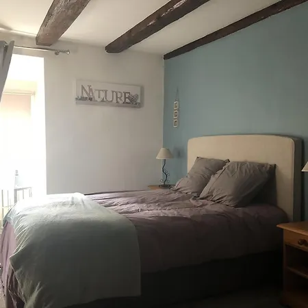 Sous Les Toits Du Zinc - Climatise Apartment *