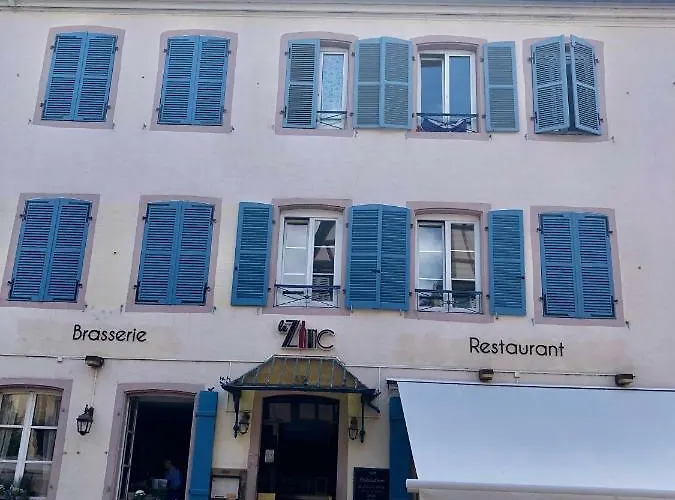 Appartement Sous Les Toits Du Zinc - Climatise *